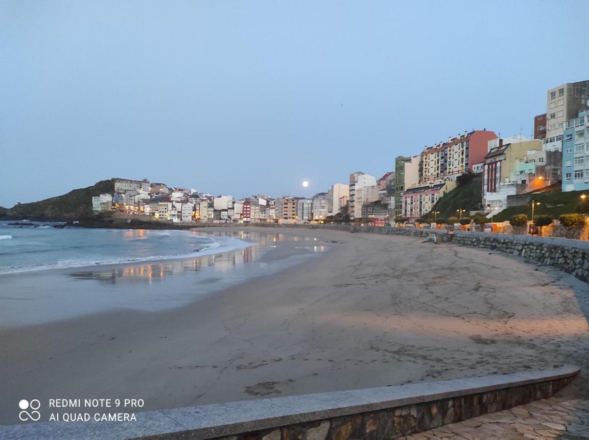 Apartment Nordic Malpica
